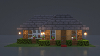 Little starter wood house